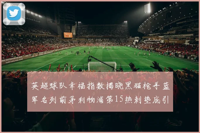 英超球队幸福指数揭晓黑猫枪手蓝军名列前茅利物浦第15热刺垫底引关注