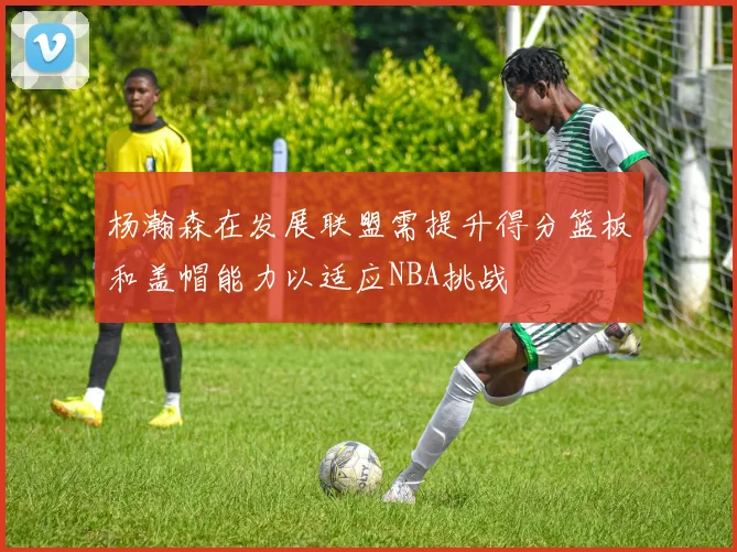 杨瀚森在发展联盟需提升得分篮板和盖帽能力以适应NBA挑战